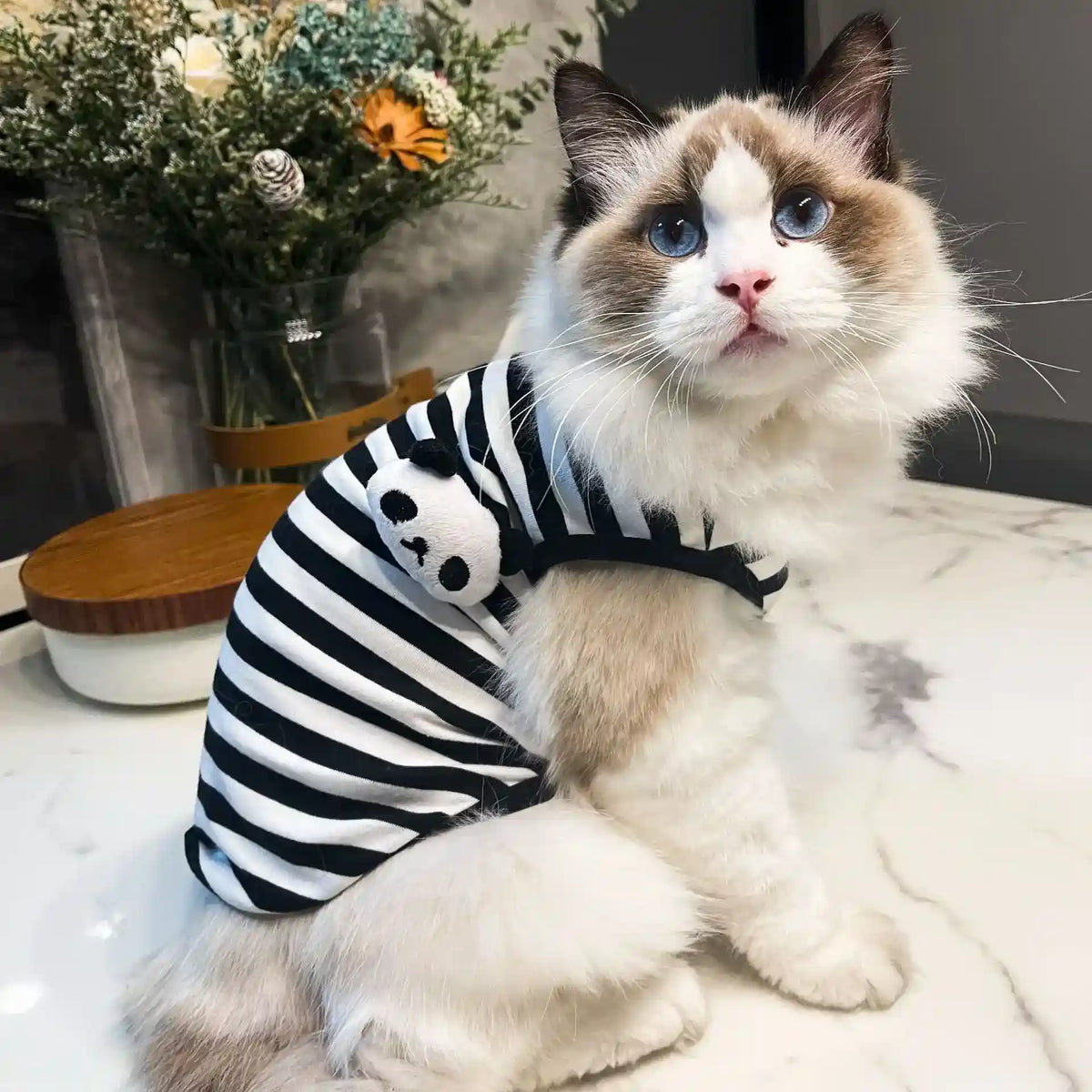 Maglia in cotone per gatti a righe con panda o rana | DogModa by Dog Moda