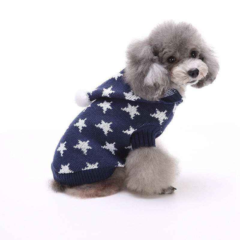 Gray poodle wearing a blue star-patterned knit sweater with a hood and pompom sitting on white background