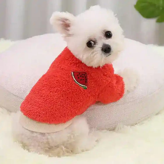 Small white dog wearing a red fuzzy sweater with watermelon patch lying on a round cushion