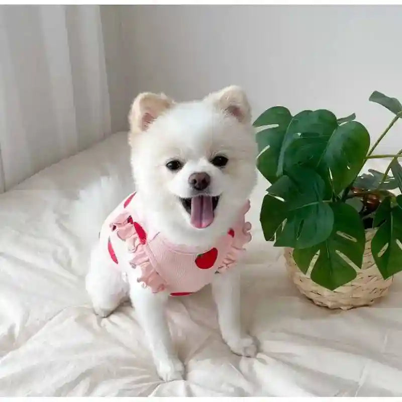 Maglia per Cani con Fantasia a Tinta Unita "Fragola" - Dog Moda