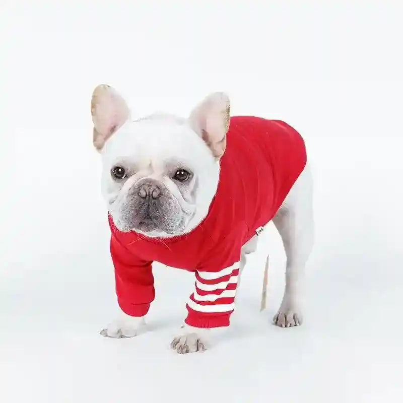 Maglietta per cani in cotone "Mignon" – Comfort, stile e protezione per il tuo cane by Dog Moda