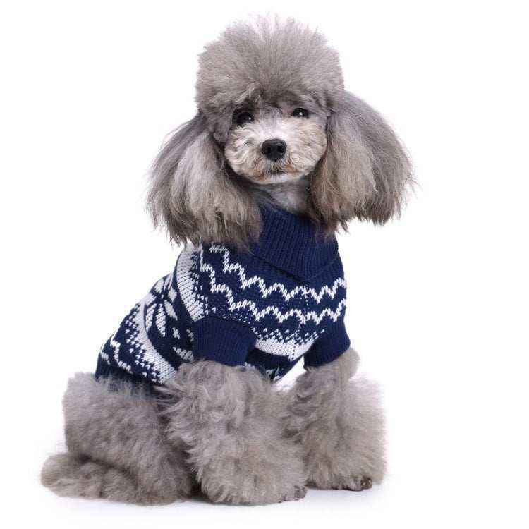Gray poodle wearing a blue and white patterned knit sweater sitting on white background
