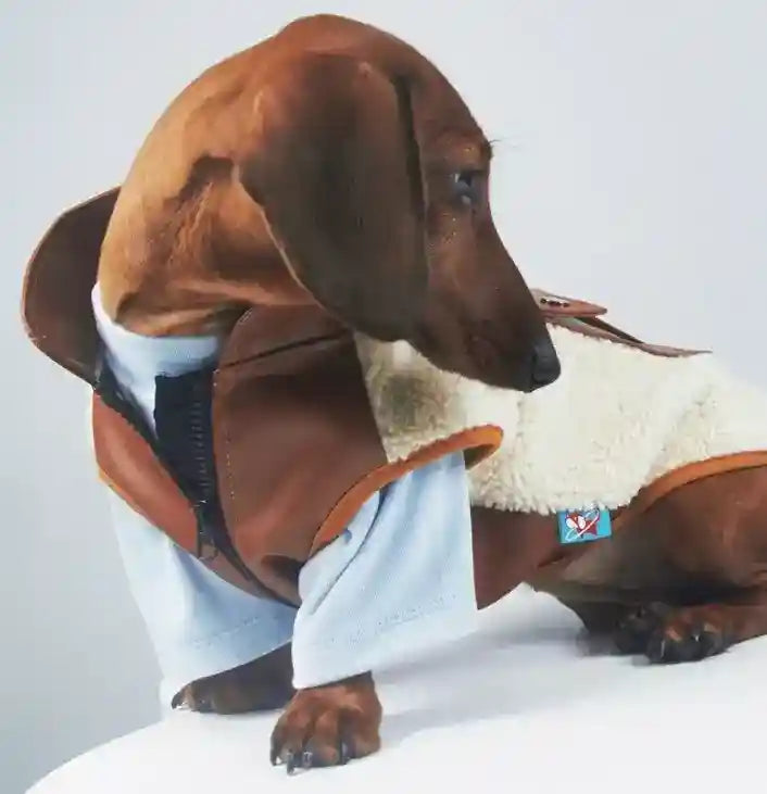 Cappotto Bassotto Cashmere Pile Agnello con Zip Torace by Dog Moda