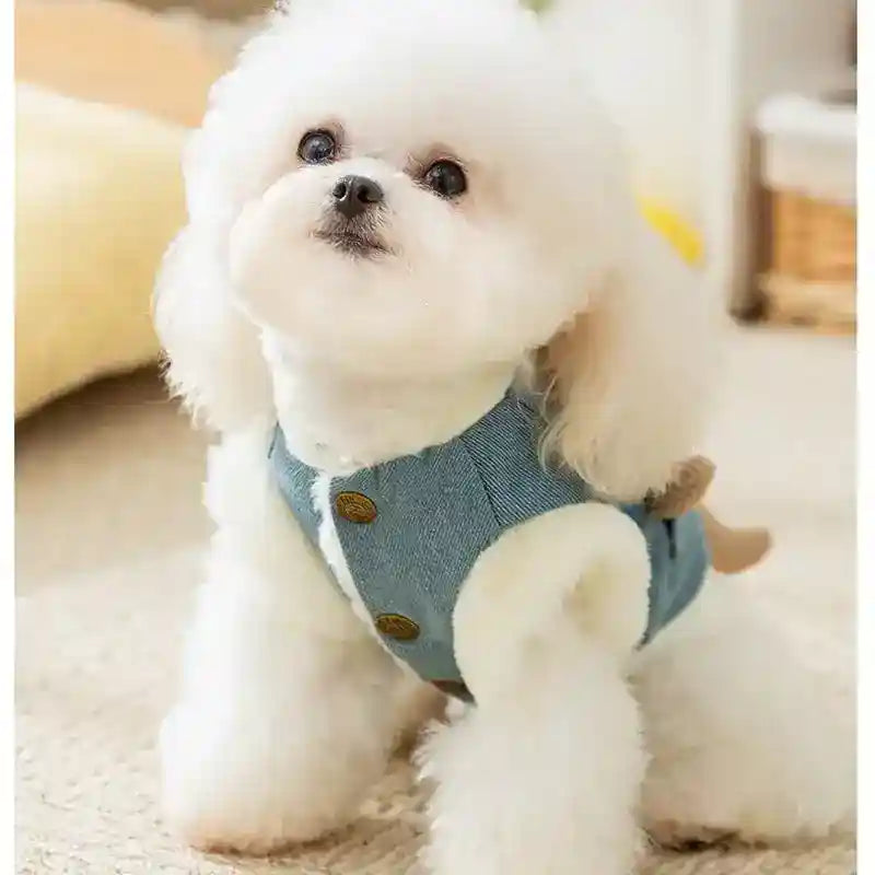 Cappotto Denim Orsetto 3D per Cani - Gilet Peluche by Dog Moda