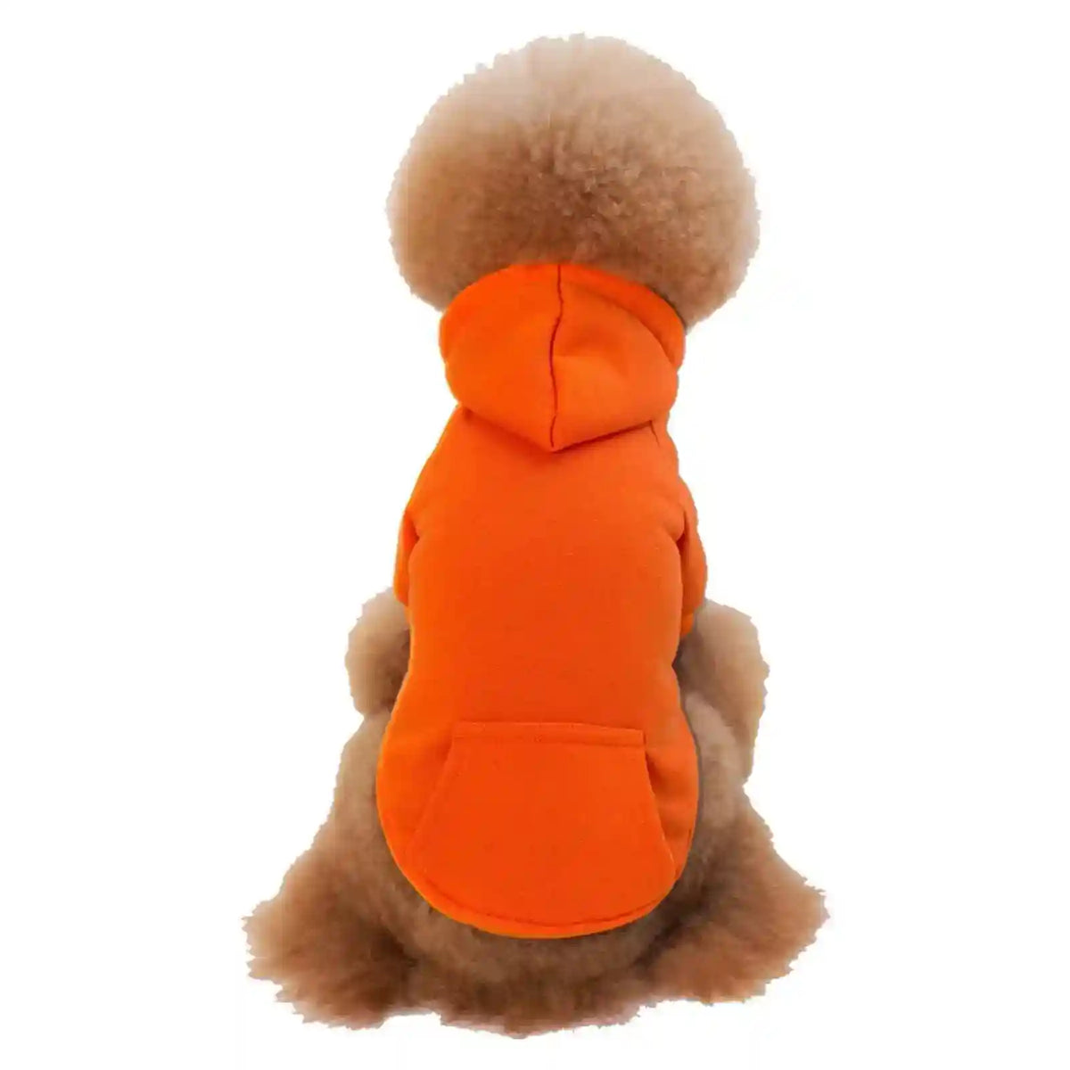 Maglia per Gatti con Cappuccio "Basic" e Taschino by Dog Moda