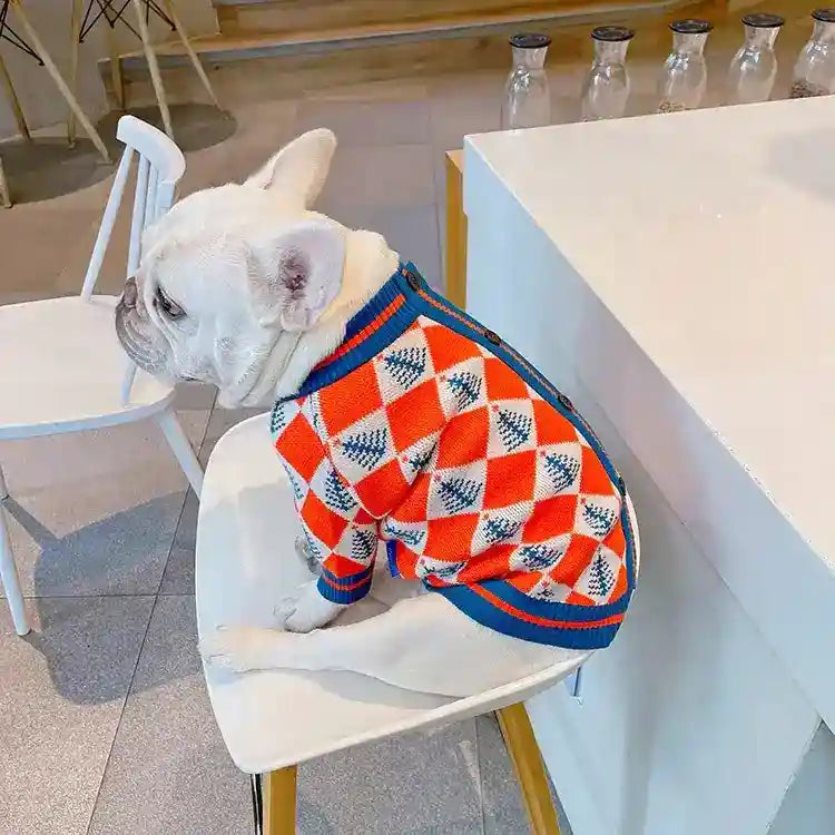 Maglioncino per Cani "Natale" – Stile Festivo e Massimo Comfort! ❄️ by Dog Moda