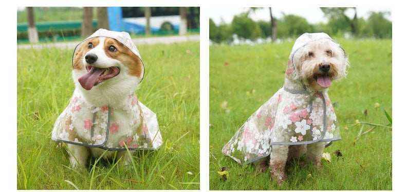 Two dogs wearing floral pattern raincoats with hoods sitting on green grass outdoors