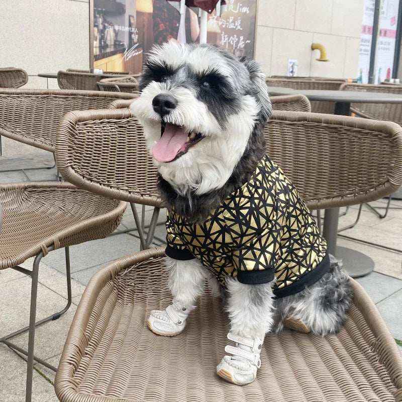 Giacca a Vento per Cani “Star” con Fantasia Dorata - Stile e Comfort per Barboncini e Non Solo by Dog Moda