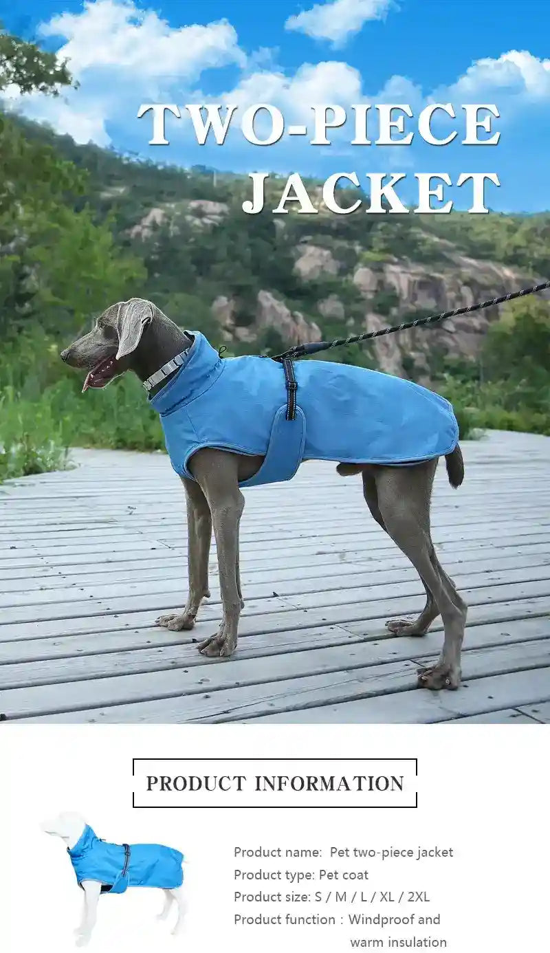 Gray dog wearing blue two-piece windproof pet jacket on wooden path with green hills background