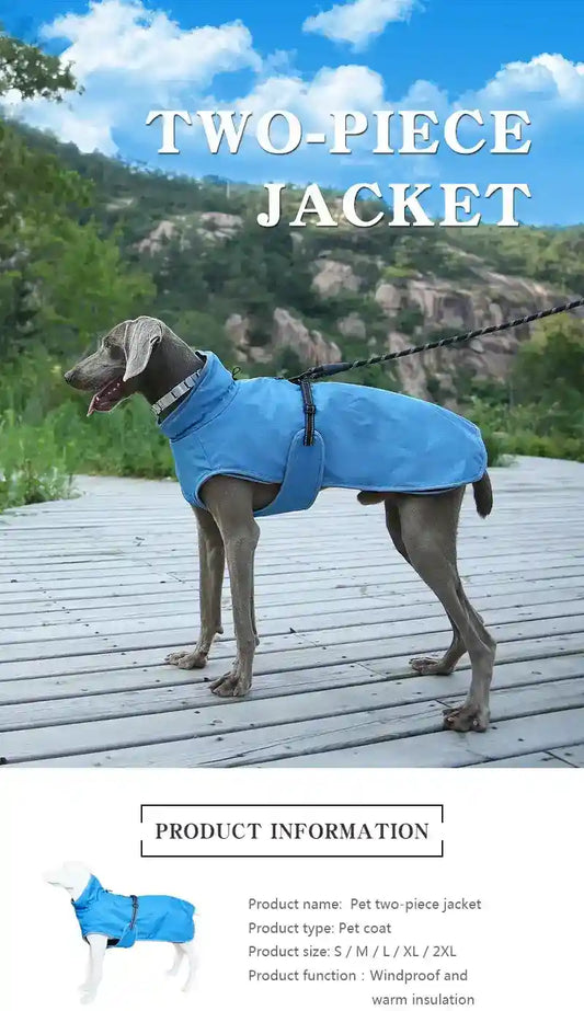 Gray dog wearing blue two-piece windproof pet jacket on wooden path with green hills background