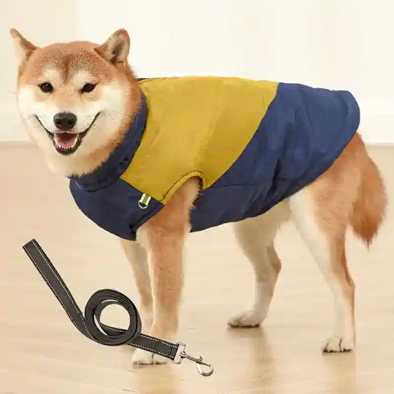 Cappotto per Cani Taglia Media e Grande | Zip, Riflettenti e Look Casual by Dog Moda