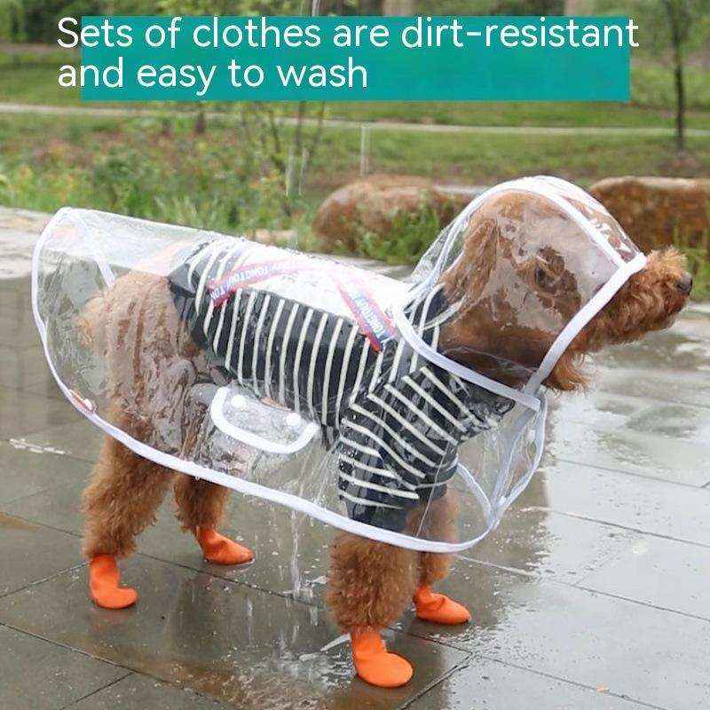 Small brown dog wearing striped clothes, transparent raincoat, and orange waterproof boots on wet pavement