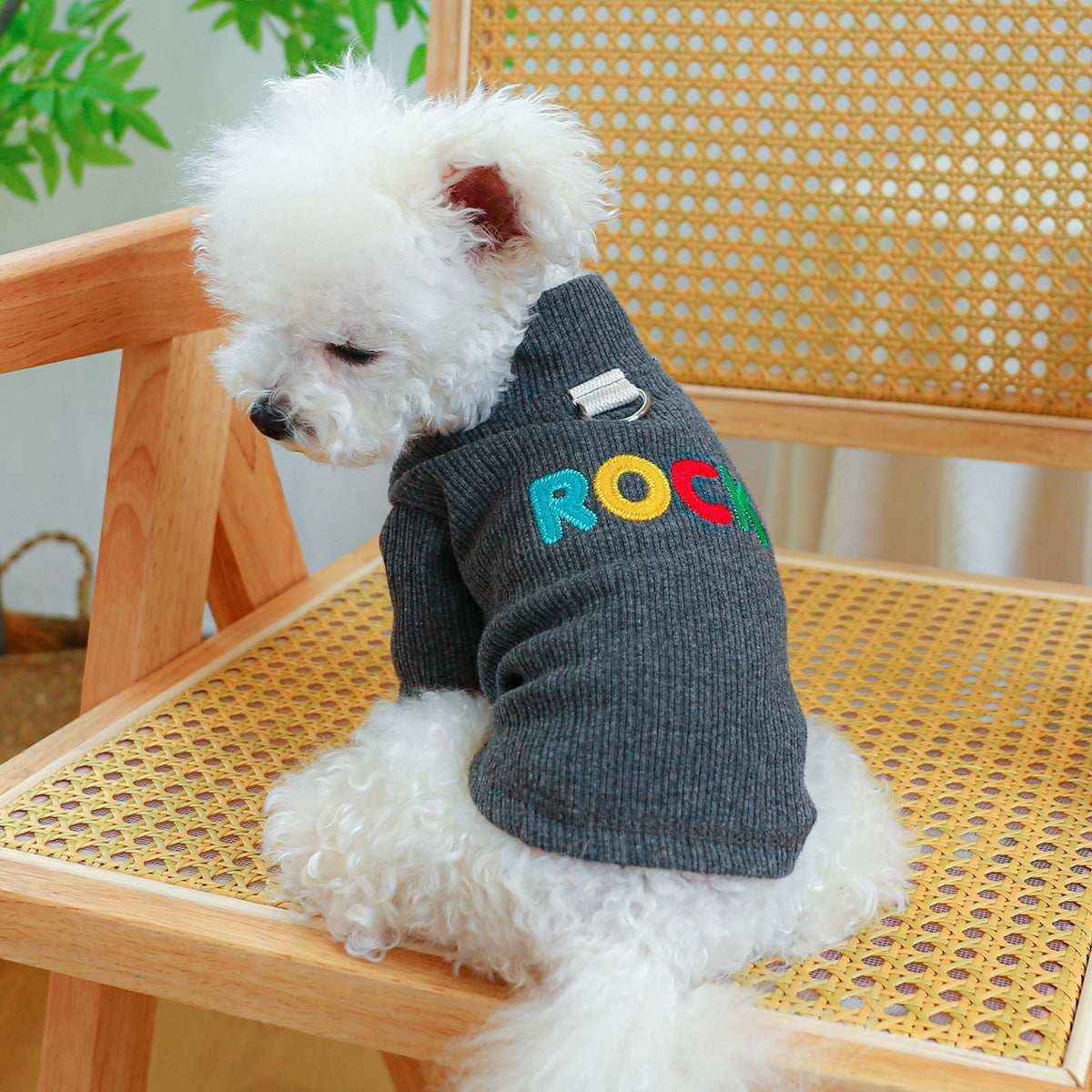 Maglia per Cani "Mercì" – Comfort, Stile e Protezione by Dog Moda