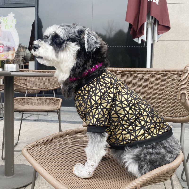 “Star” Dog Windbreaker with Gold Pattern - Style and Comfort for Poodles and More