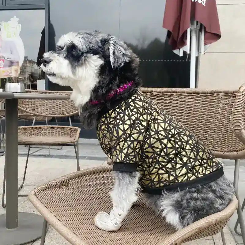 Giacca a Vento per Cani “Star” con Fantasia Dorata - Stile e Comfort per Barboncini e Non Solo by Dog Moda