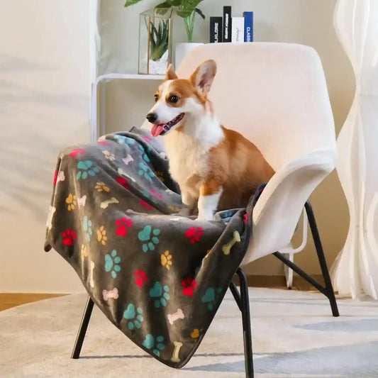 Coperta per Cani in Pile con Fantasia Zampine | Morbida e Calda by Dog Moda
