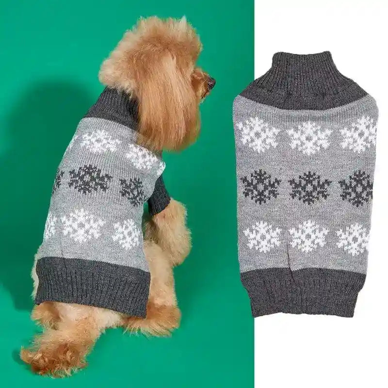 Small dog wearing gray knitted sweater with white and dark gray snowflake pattern on green background