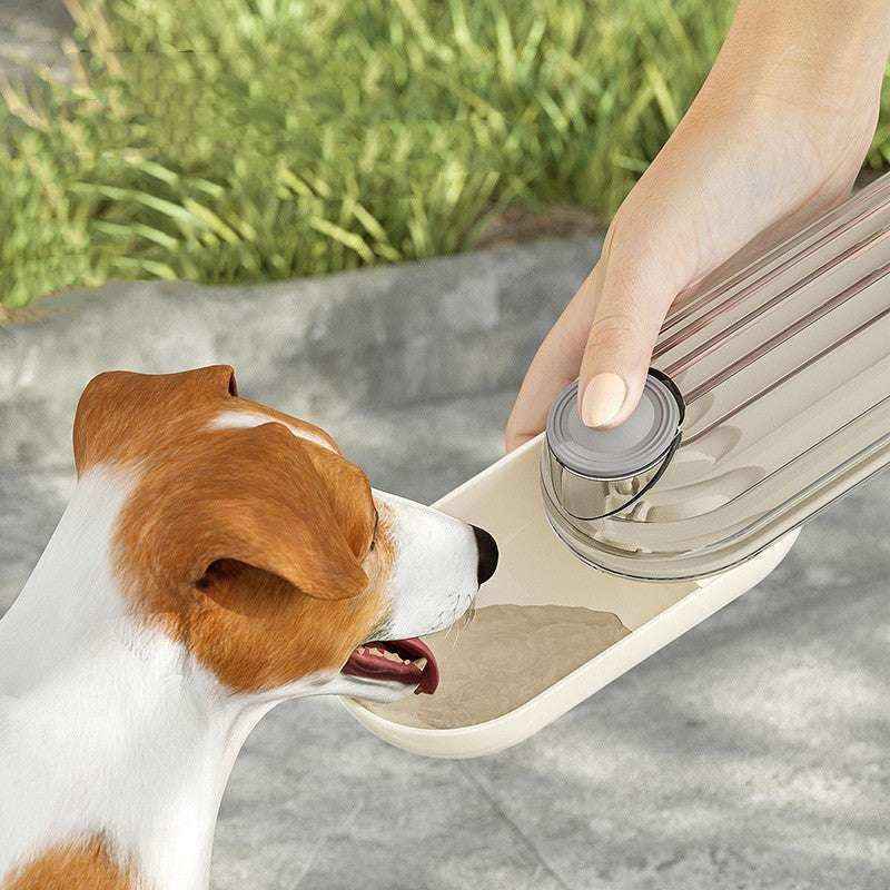 Borraccia portatile per cani – Acqua fresca sempre a portata di zampa