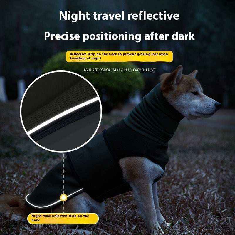 Dog wearing a black reflective night travel jacket with a visible reflective strip for safety in the dark