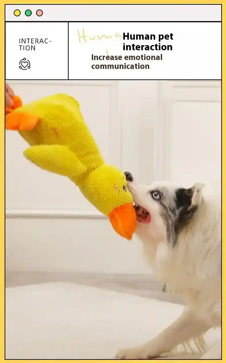 Gioco per Cani in Peluche "Paperotto" – Tessuto Resistente e Sonoro by Dog Moda