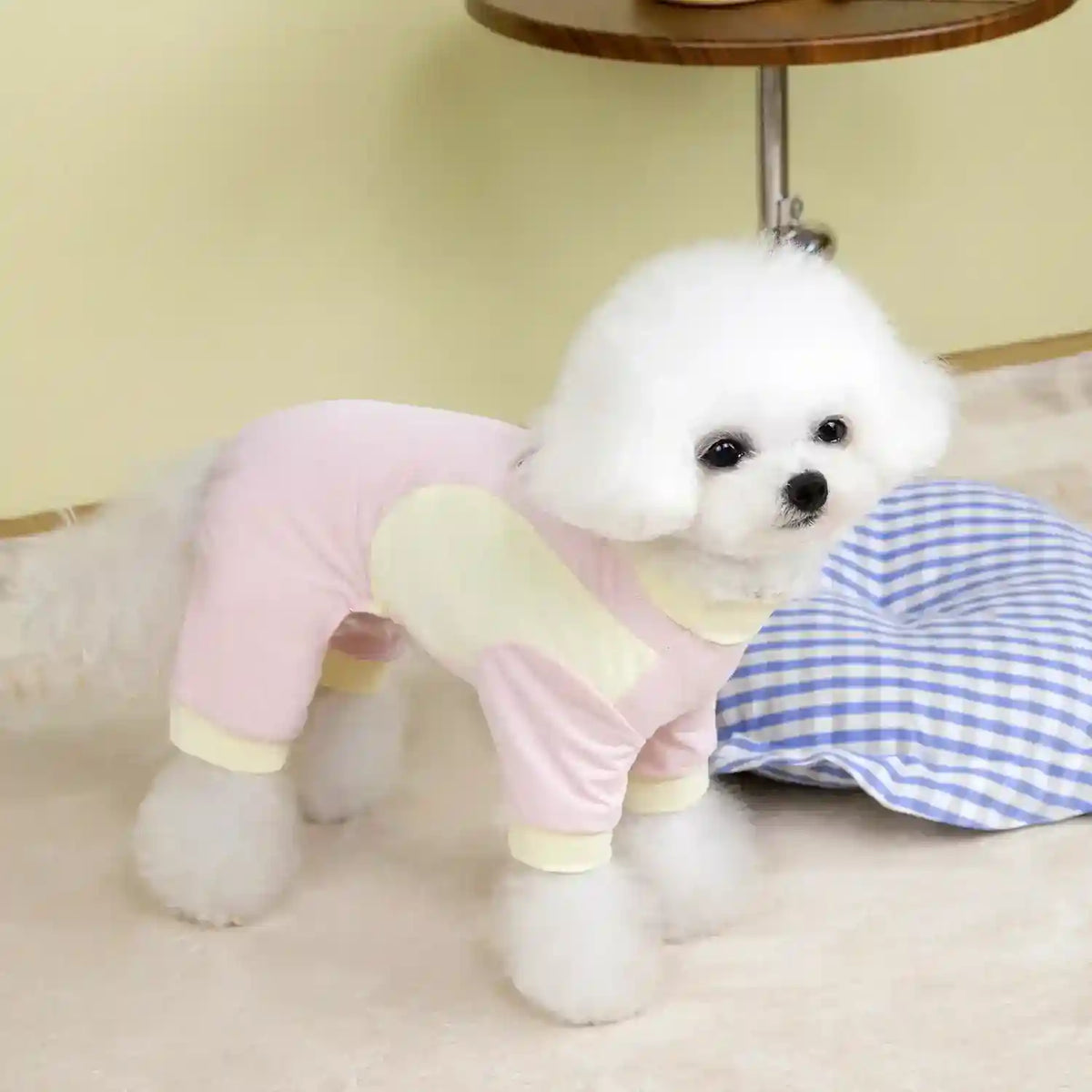Tutina per Cani 4 Zampe Silk - Seta Glacé Traspirante con Guinzaglio by Dog Moda