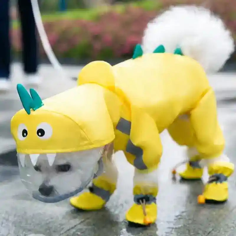 Small white dog wearing a yellow dinosaur raincoat with hood and booties on wet pavement