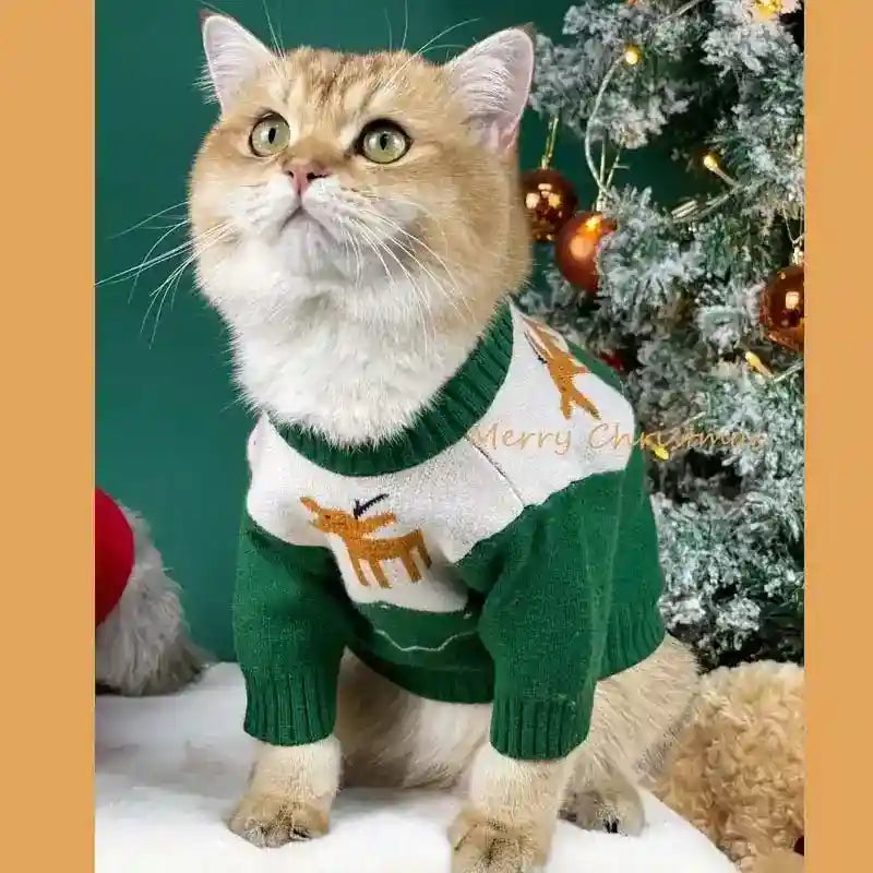 Maglione Natalizio con Renna per Cani e Gatti – Perfetto per le Festività by Dog Moda