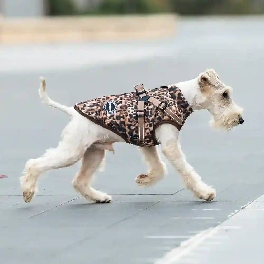 Cappotto Impermeabile Cani Comet Leopardato con Pettorina by Dog Moda