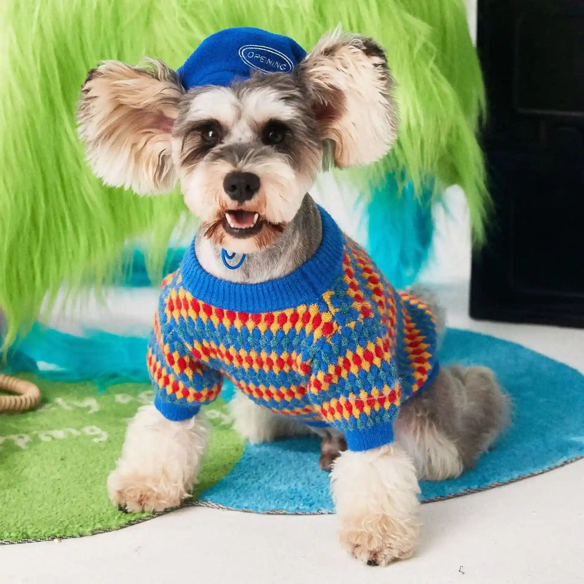 Maglioncino per Cani Pamplona | Colori Vivaci e Rombi Gialli, Rossi e Blu by Dog Moda