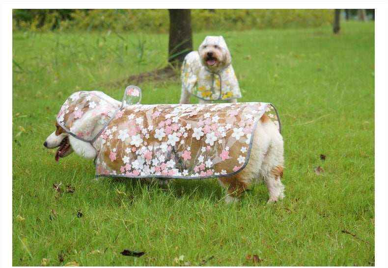 Two dogs wearing floral patterned raincoats standing on green grass outdoors