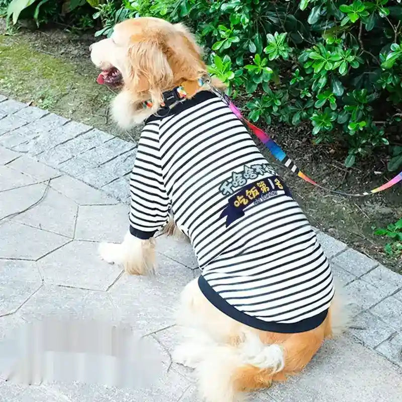 Felpa per Cani Grandi a Righe con Stampa Colorata – Stile e Comfort by Dog Moda