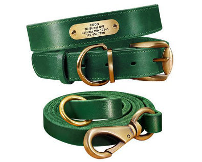 Personalized Leather Collar with Tag for Medium and Large Dogs