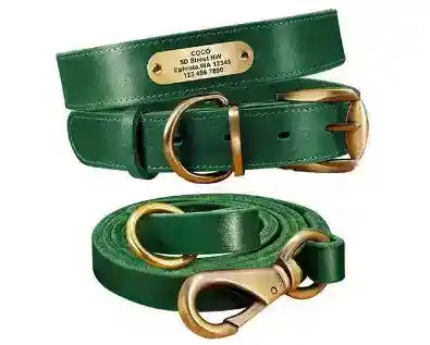 Collare in Cuoio Personalizzato con Targhetta per Cani Medi e Grandi by Dog Moda