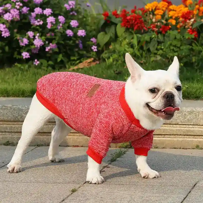 Maglioncino per Cani in Tinta Unita – Modello "Classic" - Dog Moda