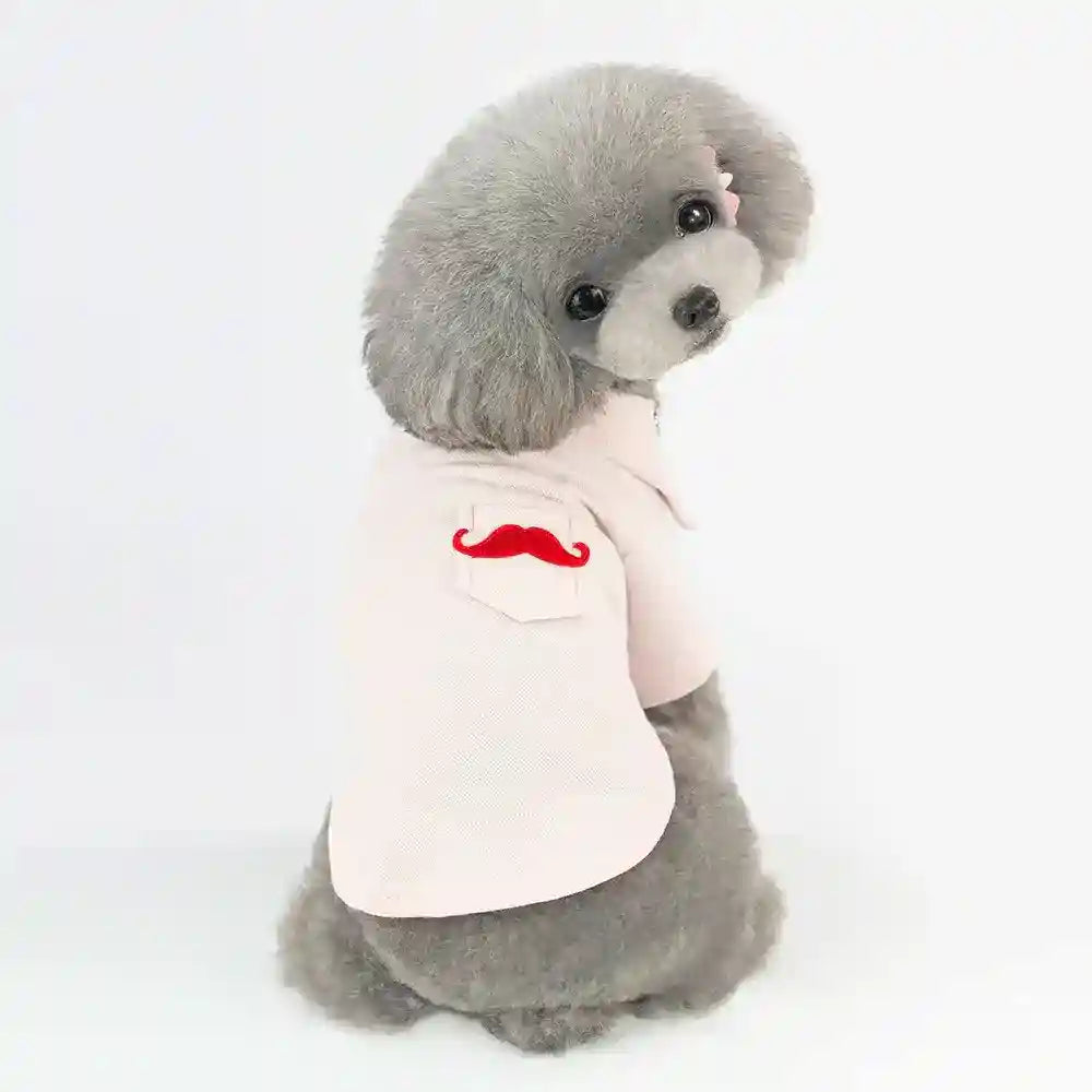 Gray poodle dog wearing light pink shirt with red mustache patch sitting on white background
