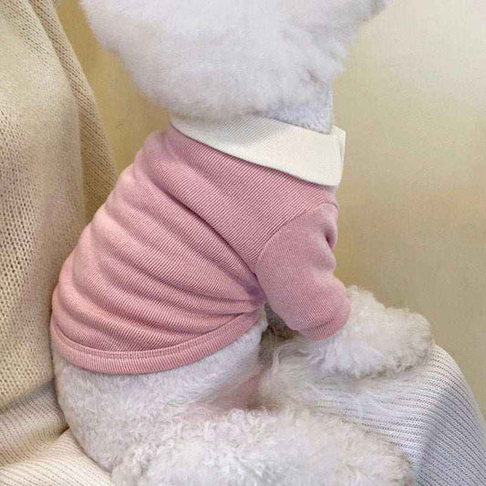 White fluffy dog wearing a pink ribbed sweater with a cream collar sitting on a knit blanket