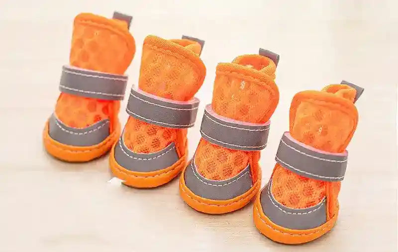Set di quattro scarpe per cane "Runner Fluo" by Dog Moda