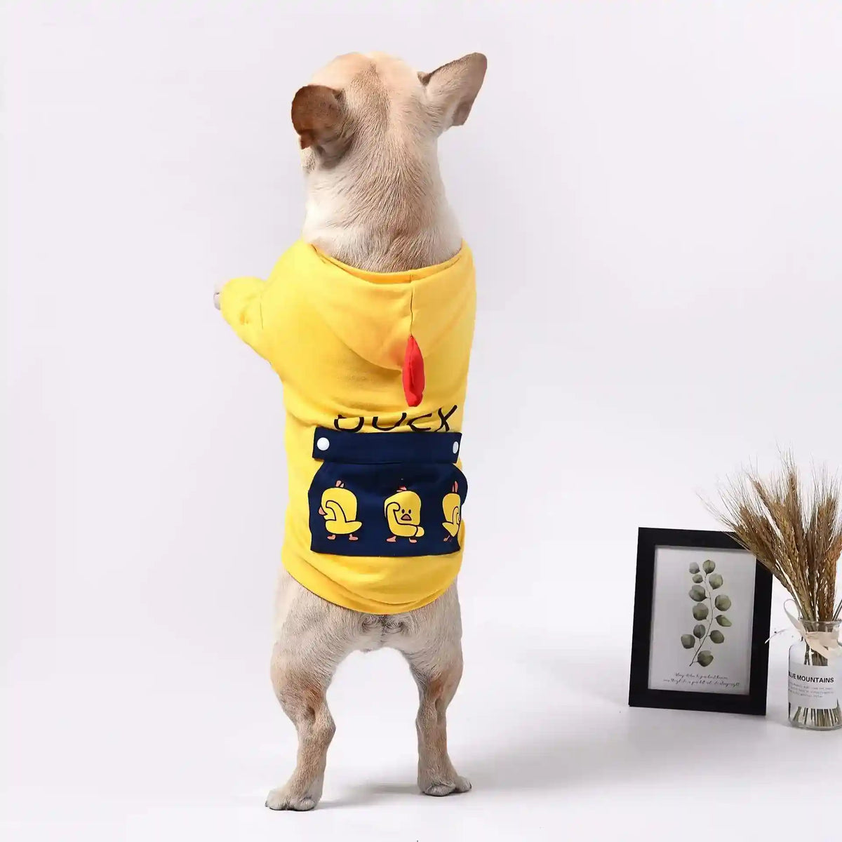 Felpa per cani con cappuccio "Duck" anche per Bulldog by Dog Moda