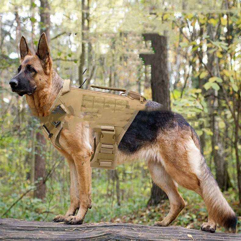 Pettorina Tattica "Explorer" per Cani - Robustezza e Funzionalità per Avventure all'Aperto - Dog Moda