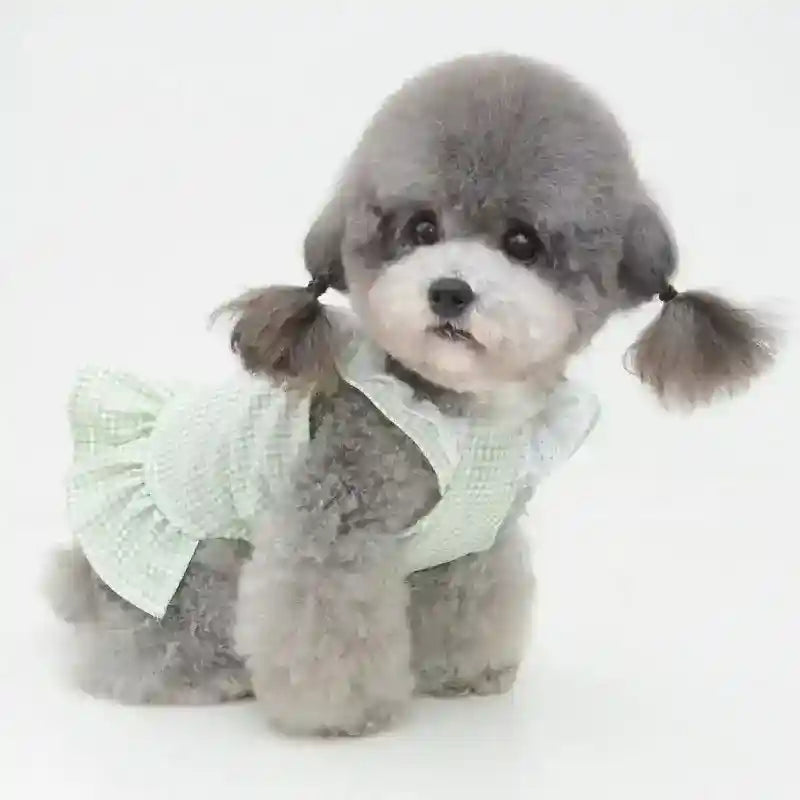 Vestito per Barboncino Toy con Fiocchetto - Modello Ribbon, Eleganza e Comfort by Dog Moda