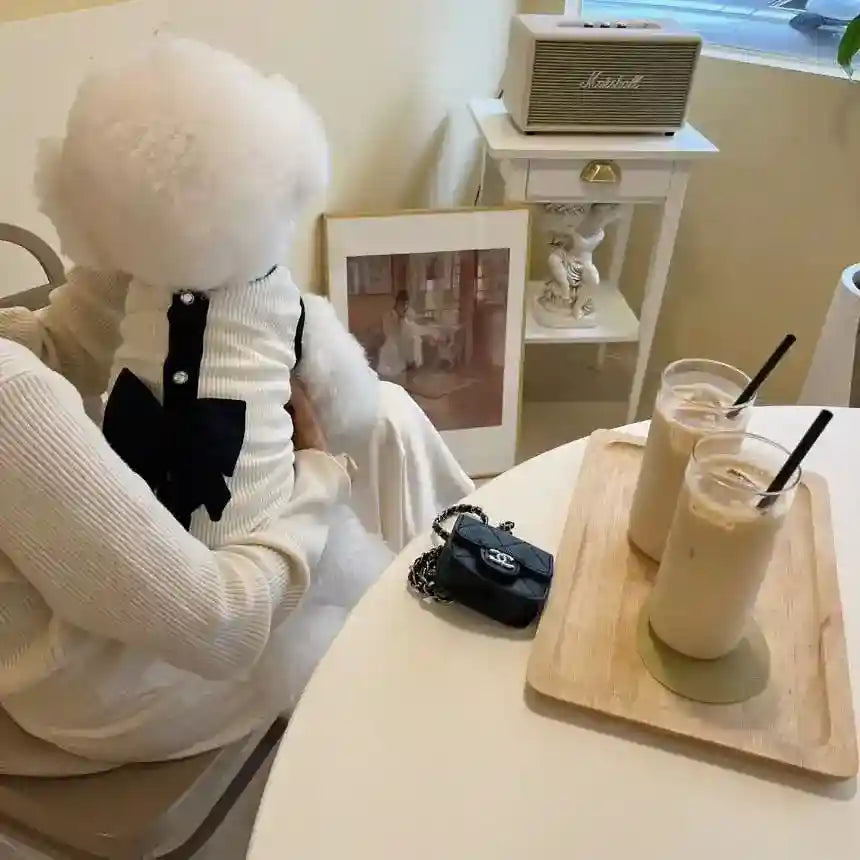 Indoor scene with person holding white fluffy dog wearing black and white outfit, iced coffee drinks on table
