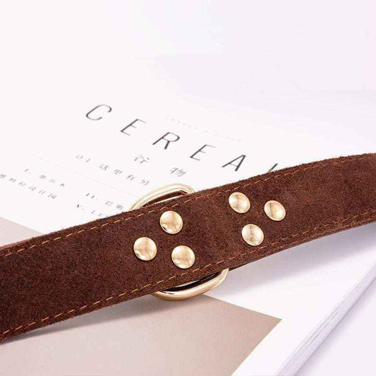 Collare in Cuoio per Cani "Pawstrip" con Borchie - Elegante e Resistente by Dog Moda