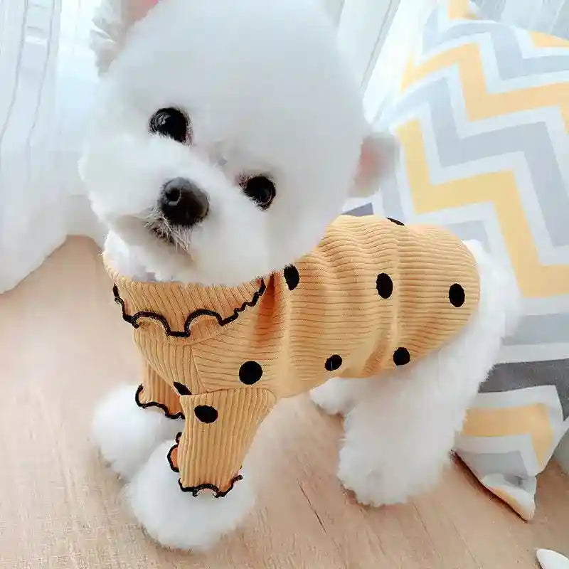 Small white fluffy dog wearing yellow polka dot sweater indoors on wooden floor
