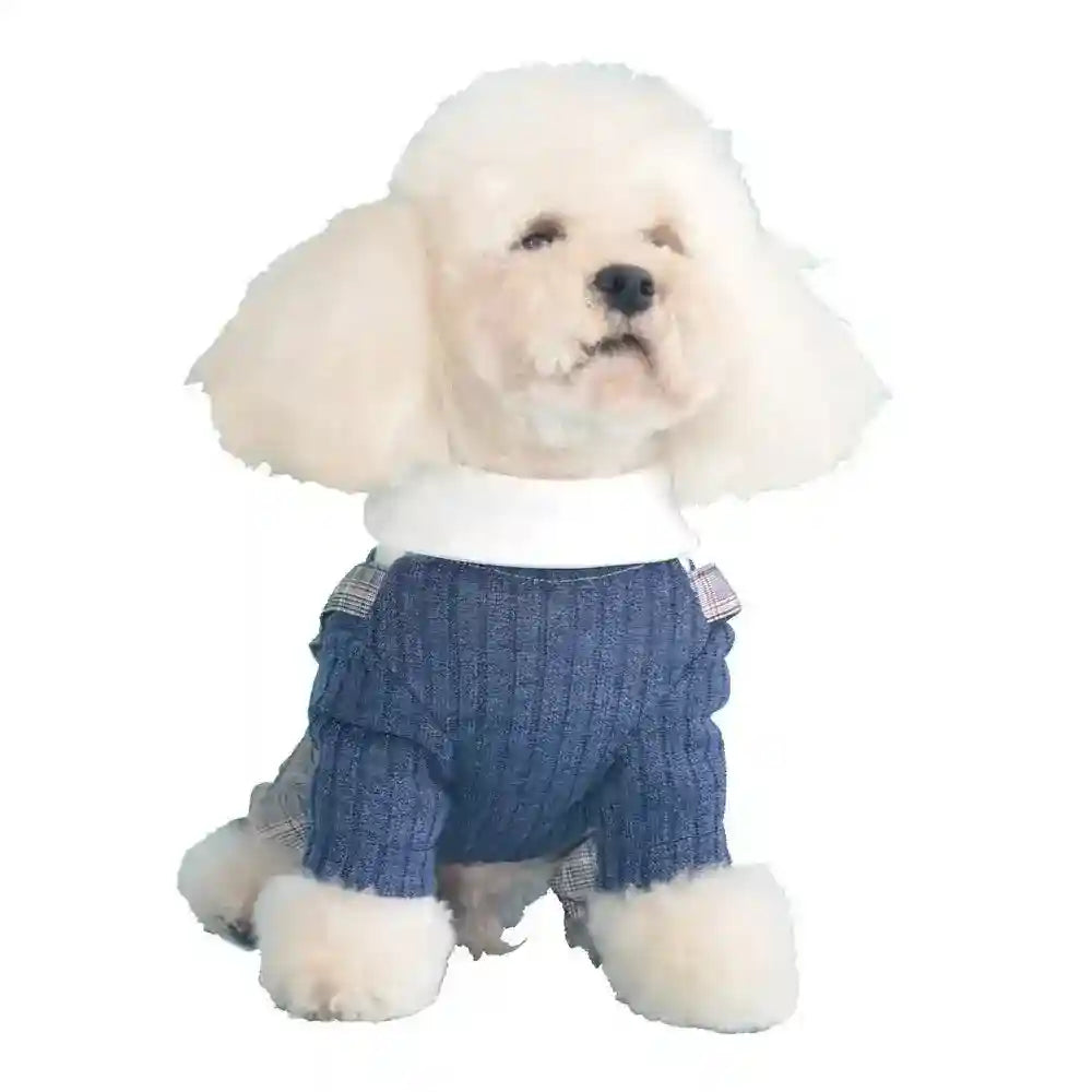 White fluffy dog wearing blue knit sweater with plaid accents on white background