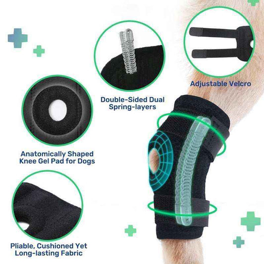 Dog knee brace with anatomically shaped gel pad, double-sided dual spring layers, adjustable Velcro strap, and cushioned fabric