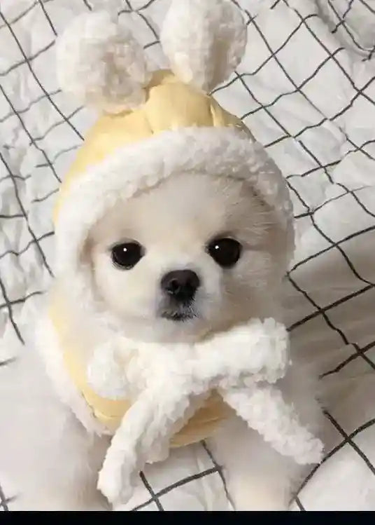 Cappottino per cani "DOT" in pile con cappellino orecchiette by Dog Moda