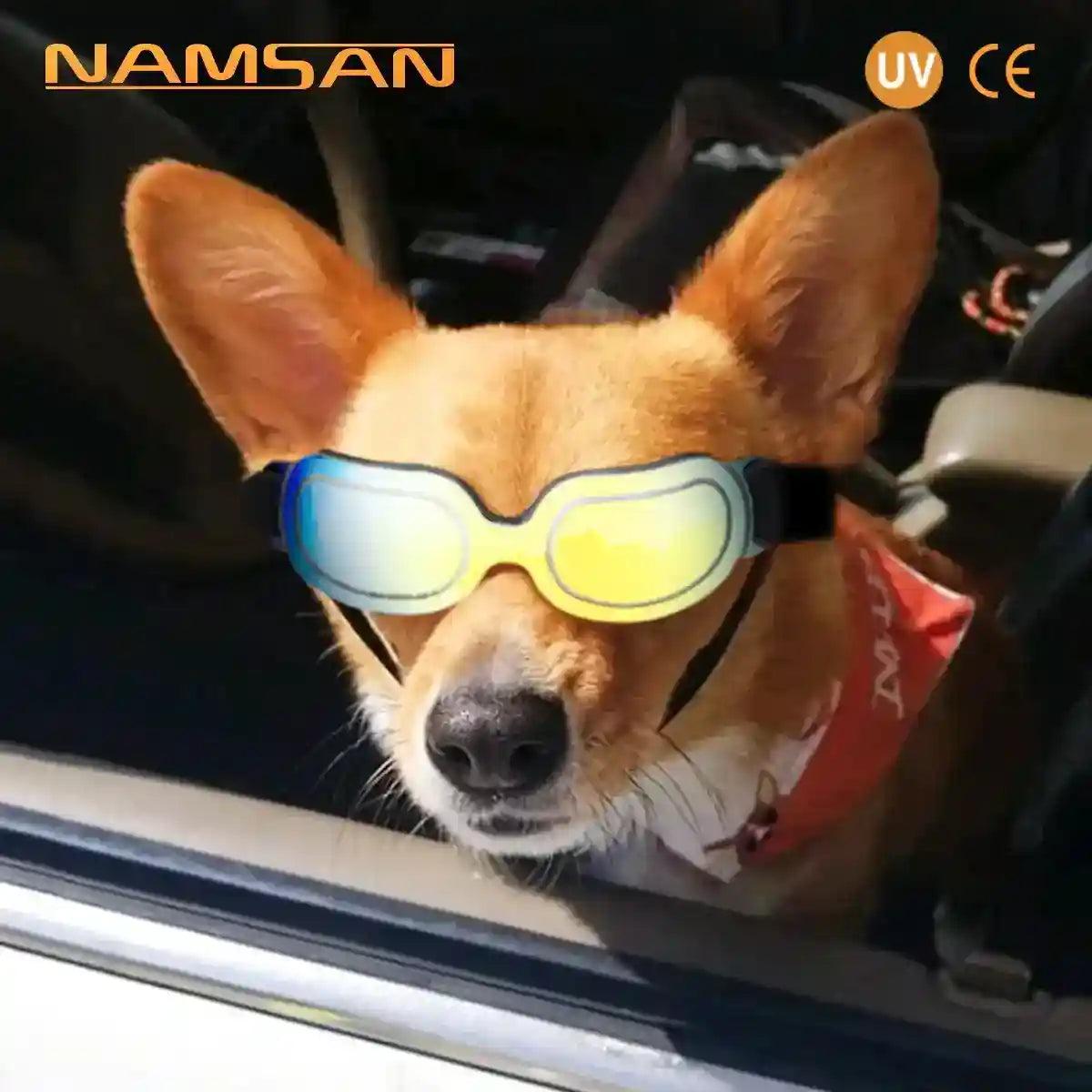Occhiali da Sole per Cani - Protezione UV Anti-Vento by Dog Moda