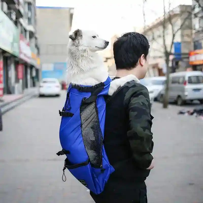Zaino per cani di taglia media e piccola "Giramondo" by Dog Moda