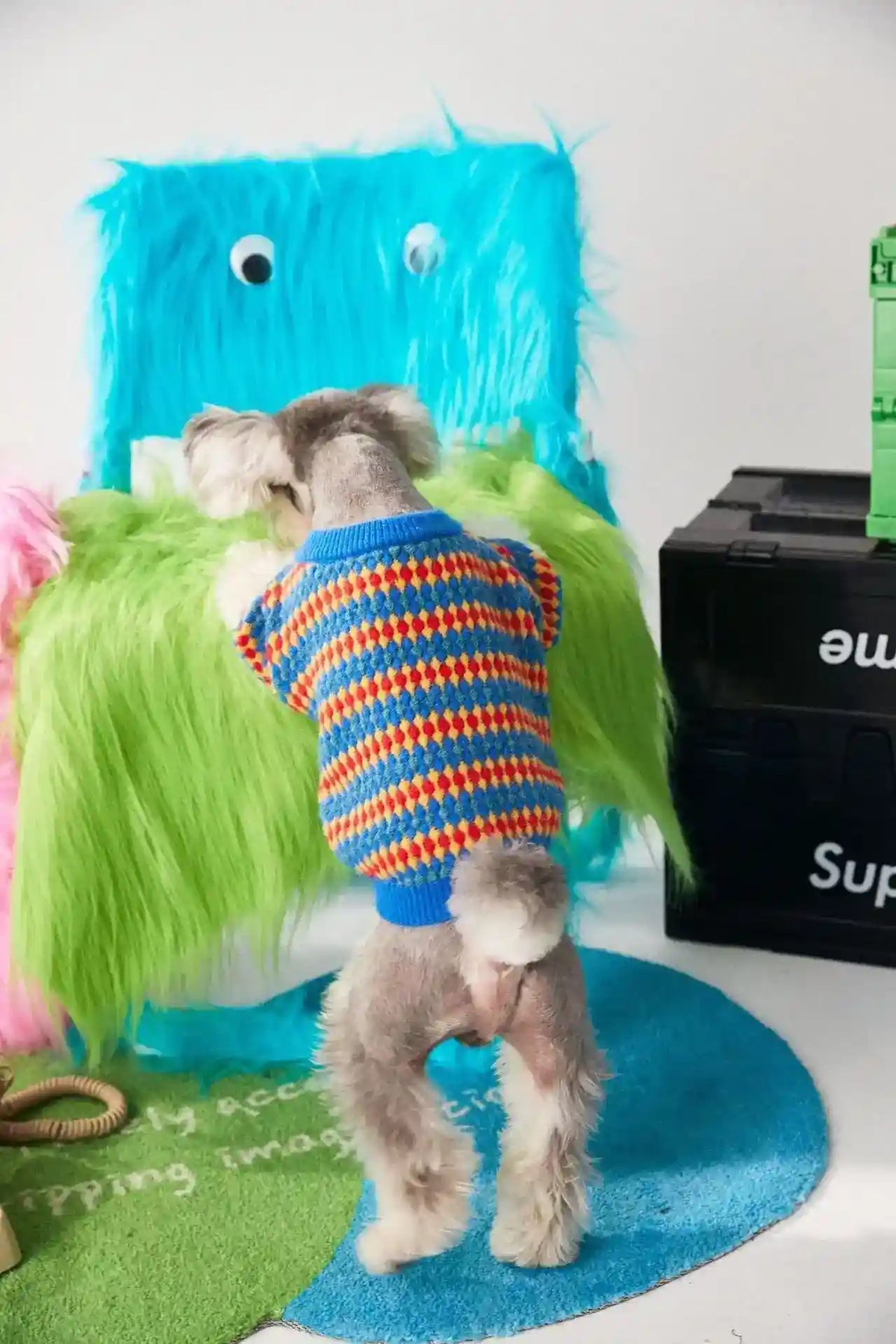 Maglioncino per Cani Pamplona | Colori Vivaci e Rombi Gialli, Rossi e Blu by Dog Moda