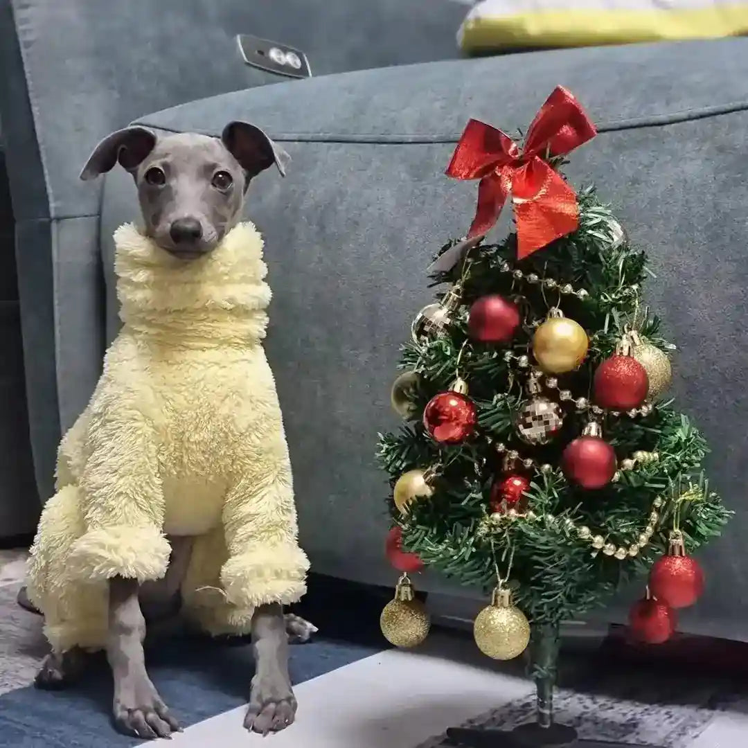 Small dog wearing a yellow fuzzy sweater sitting next to a decorated mini Christmas tree with red and gold ornaments